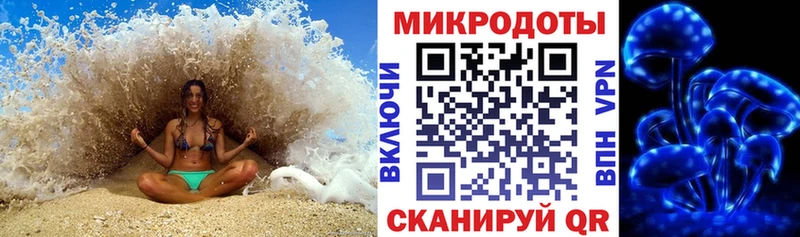 Псилоцибиновые грибы GOLDEN TEACHER наркотики Кинешма