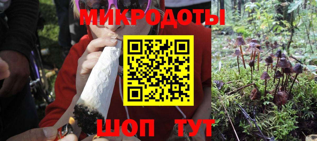 Кинешма  Псилоцибиновые грибы мухоморы  как найти   Вход с VPN 